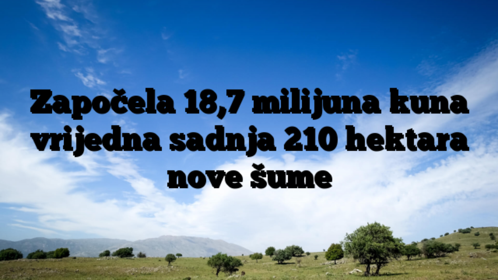 Započela 18,7 milijuna kuna vrijedna sadnja 210 hektara nove šume