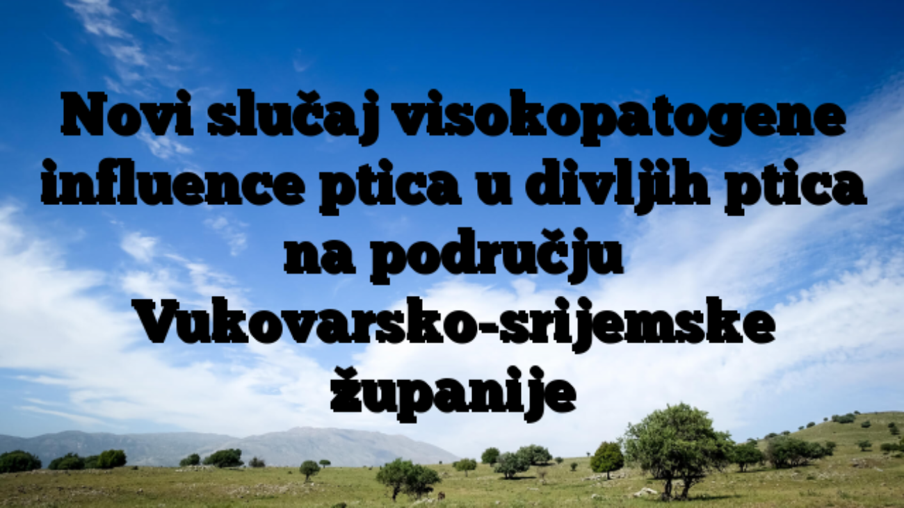 Novi slučaj visokopatogene influence ptica u divljih ptica na području Vukovarsko-srijemske županije