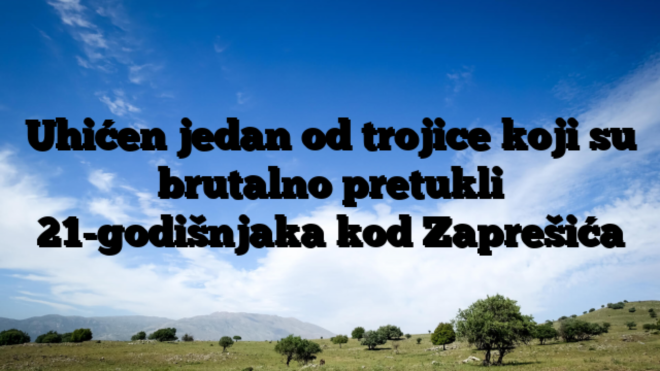 Uhićen jedan od trojice koji su brutalno pretukli 21-godišnjaka kod Zaprešića