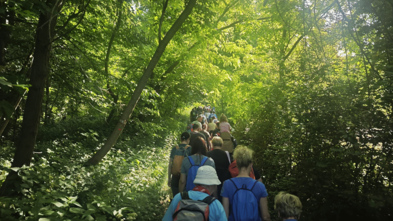 image-1-1024x768.png