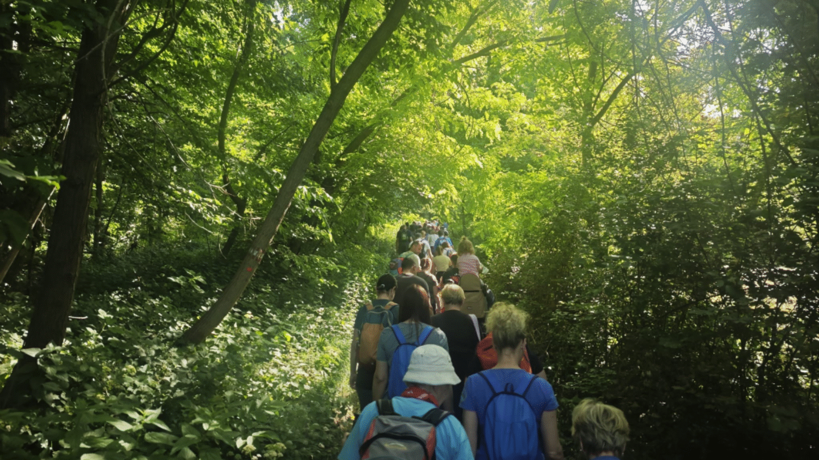 image-1-1024x768.png