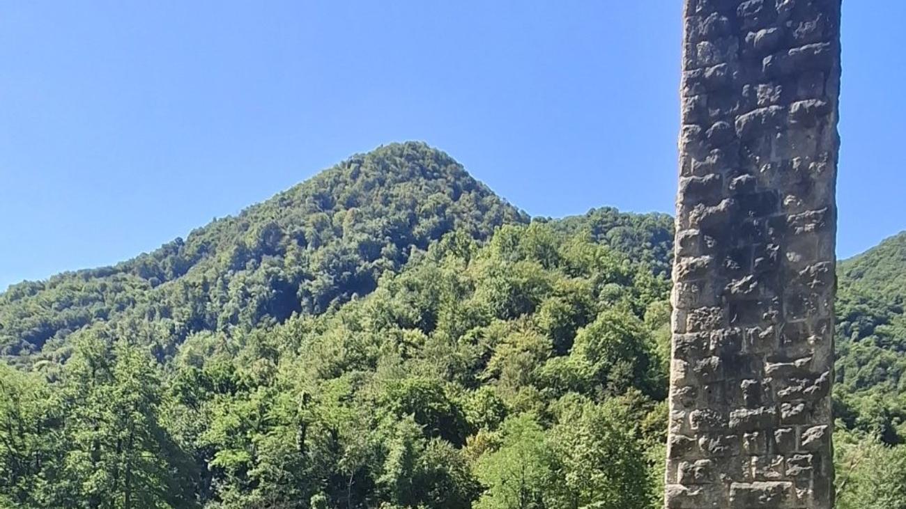 20250805_111524-942x1024.jpg