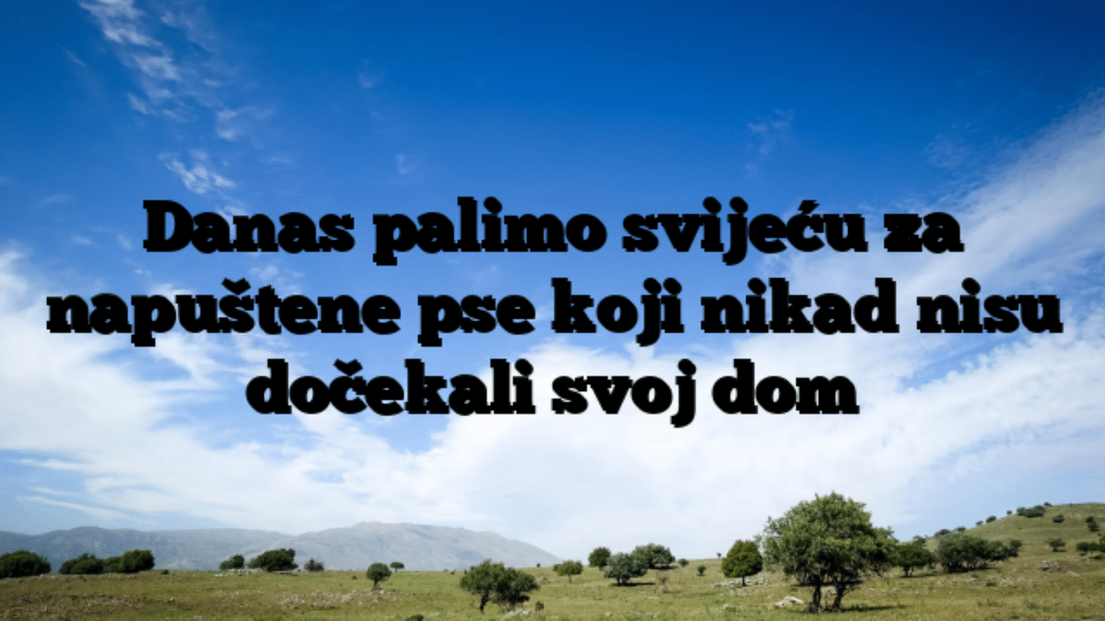 Danas palimo svijeću za napuštene pse koji nikad nisu dočekali svoj dom
