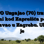 FOTO Uzgajao (70) travu u šumi kod Zaprešića pa je prodavao u Zagrebu. Uhićen je