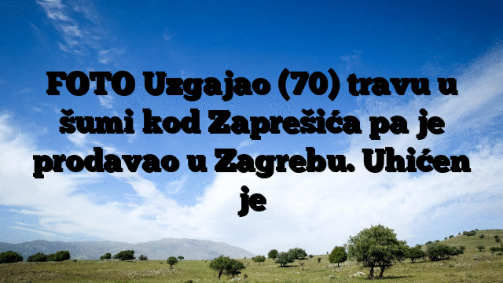 FOTO Uzgajao (70) travu u šumi kod Zaprešića pa je prodavao u Zagrebu. Uhićen je