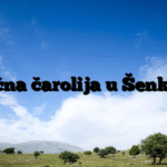 Božićna čarolija u Šenkovcu